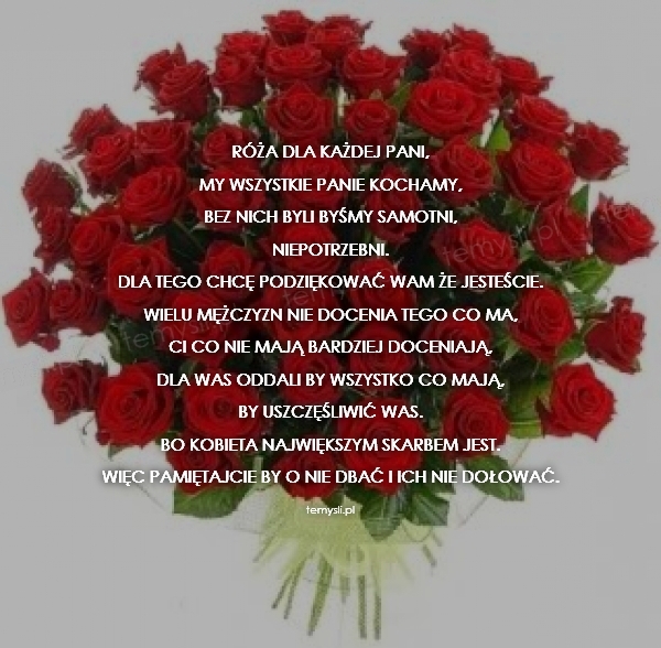 Róża dla każdej pani,