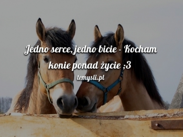 Konie ;3