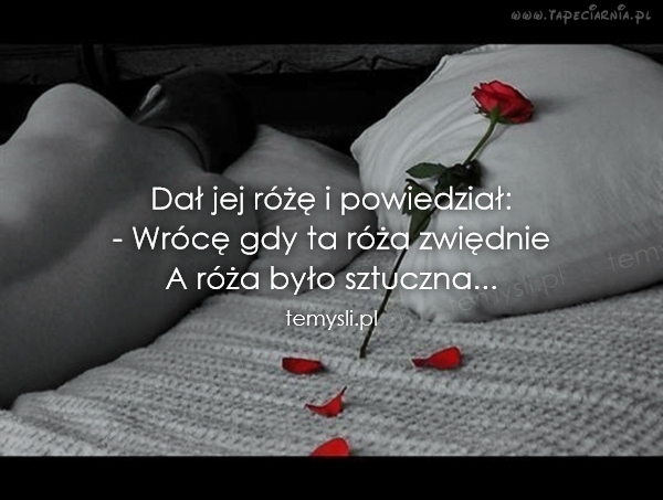 Dał jej różę i powiedział: - Wrócę gdy ta róża zwiędnie  A r