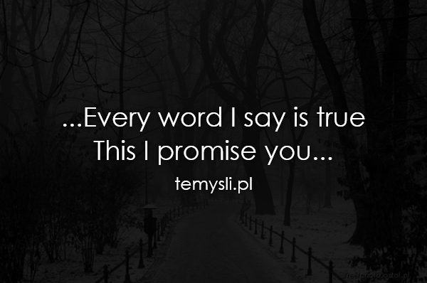 ...Every word I say is true  This I promise you...