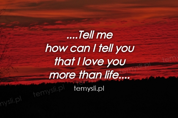 ....Tell me  how can I tell you that I love you  more than l